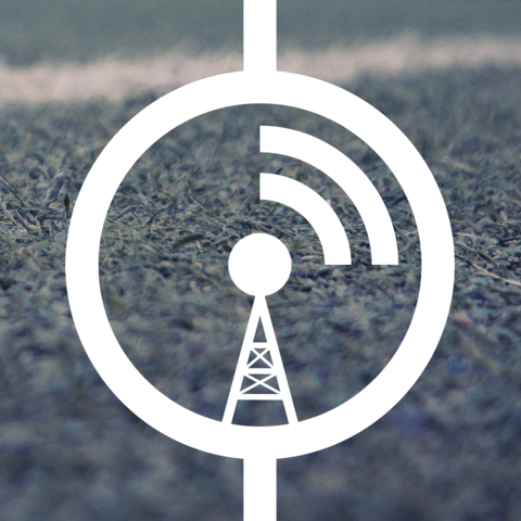 Zum Artikel "Fußball-Podcast Rasenfunk: Drei Formate, ein Podcast"