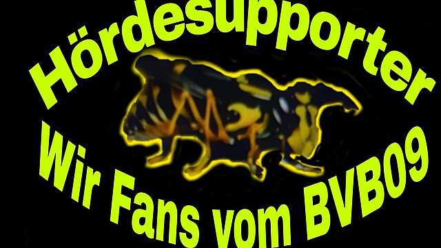 Zum Artikel "Hördesupporter wir Fans vom BVB 09"