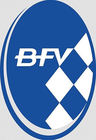 Zum Artikel: BallHelden - Kicken für Kinder in Not